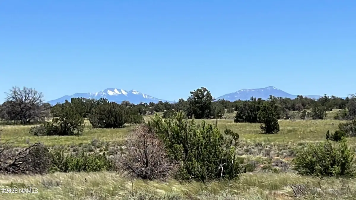 5614 N Alta Villa Road, Williams, AZ 86046 - #1