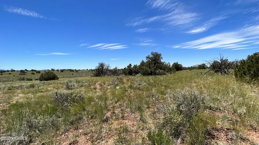 5614 N Alta Villa Road, Williams, AZ 86046 - #3