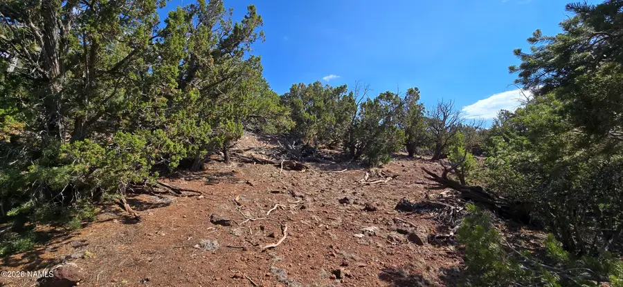 1262 Painted Pony Lane, Williams, AZ 86046 - #3