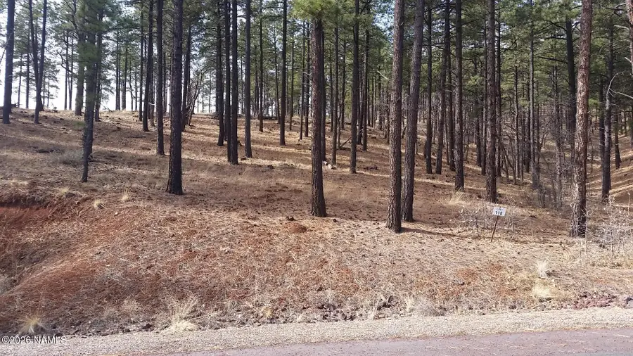 4695 S Flagstaff Ranch Road, Flagstaff, AZ 86005 - #2