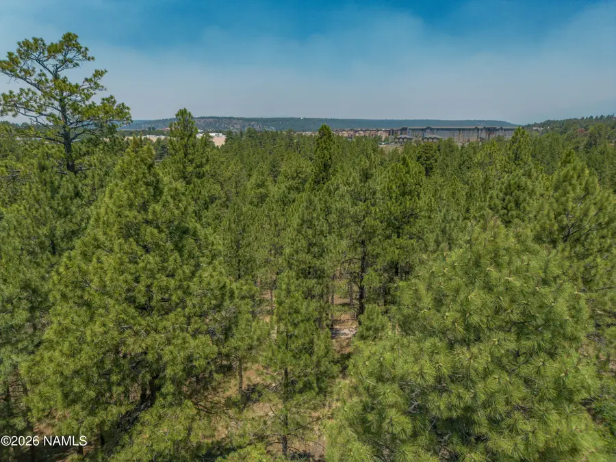 1568 E Sejarez Way, Flagstaff, AZ 86001 - #3