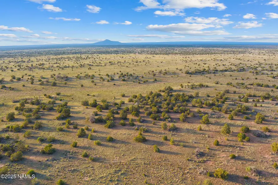 4532 Indian Meadows Road, Williams, AZ 86046 - #2