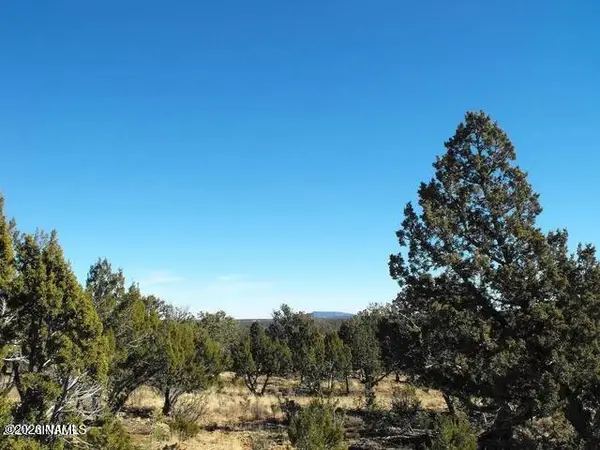 4131 Sunset Ridge Loop, Happy Jack, AZ 86024
