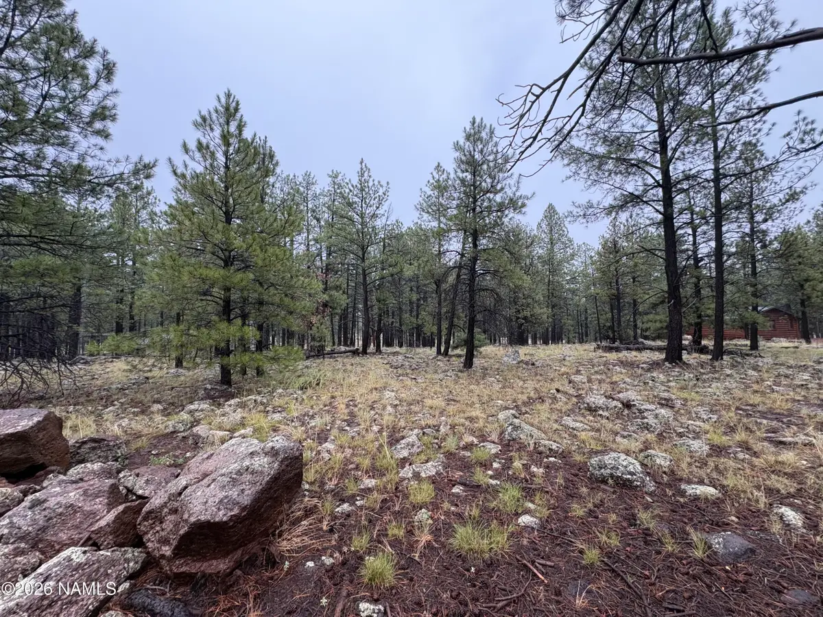 787 S Friar Tuck Trail, Williams, AZ 86046 - #1