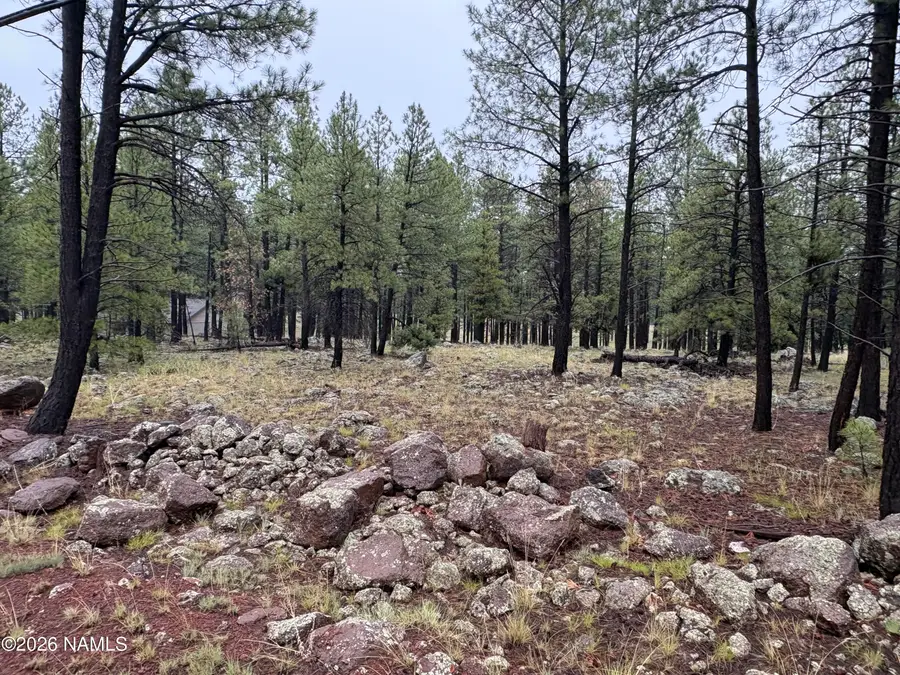 787 S Friar Tuck Trail, Williams, AZ 86046 - #2