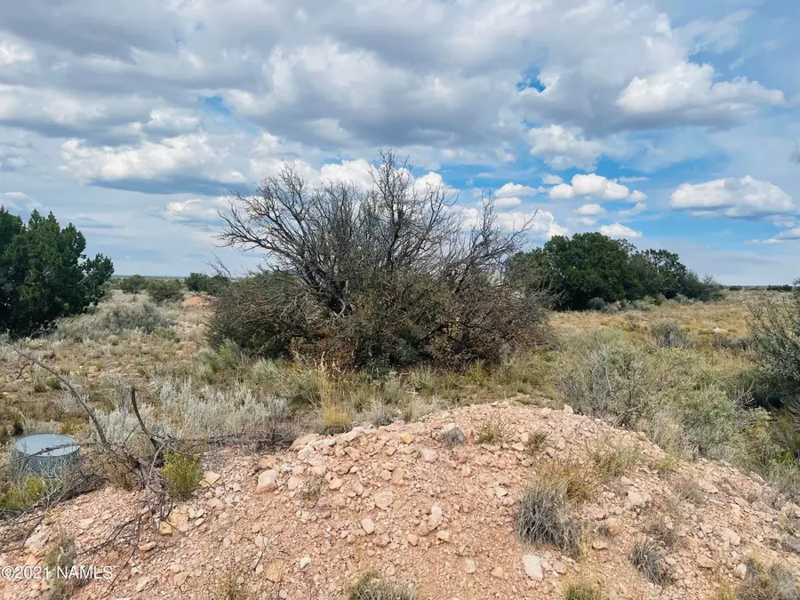 4115 N State Route 64, Williams, AZ 86046 - #2