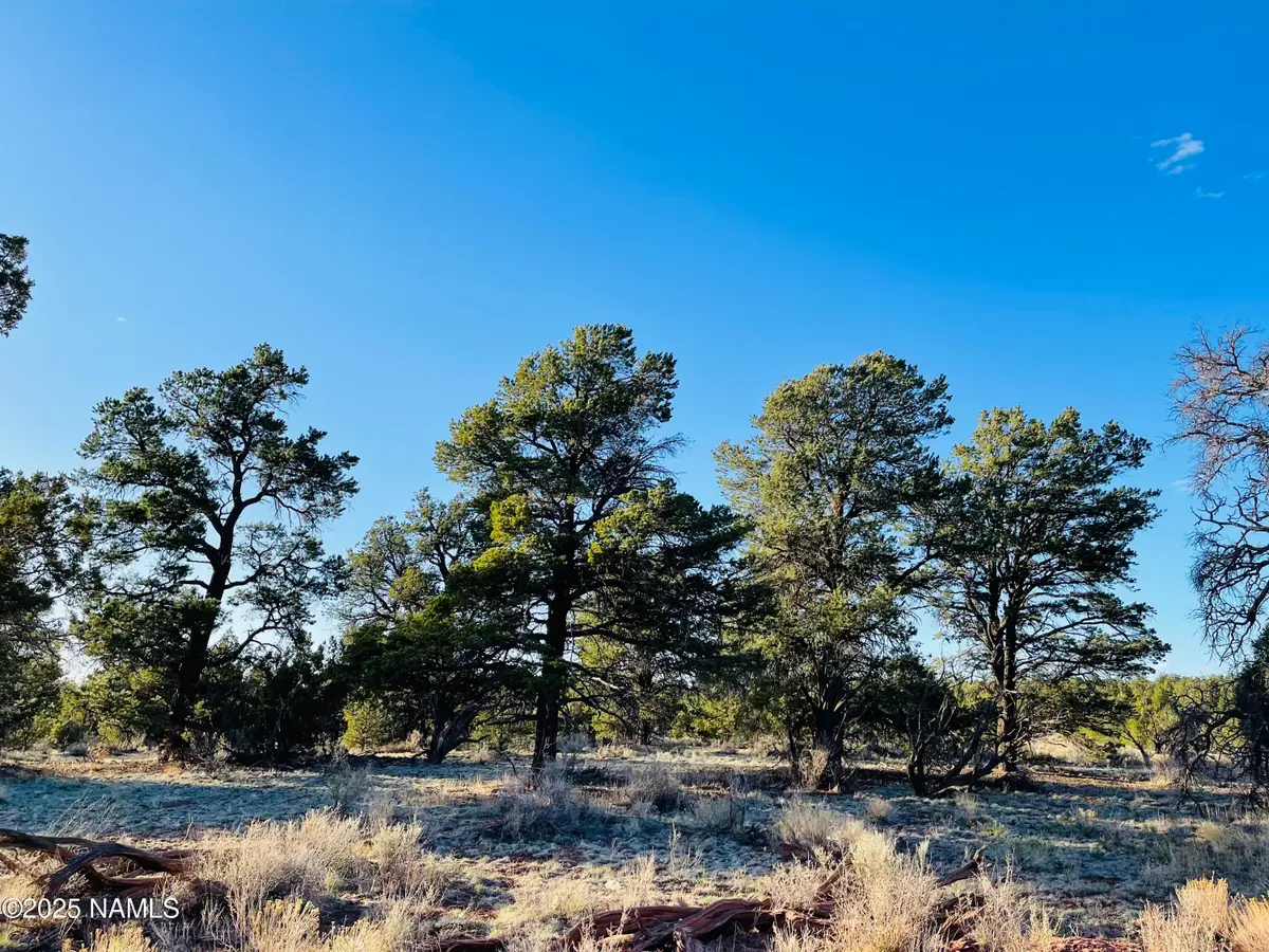 5390 N Windy Walk Way, Williams, AZ 86046 - #1