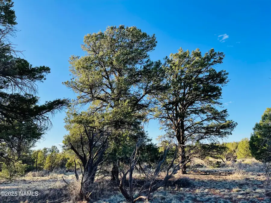 5390 N Windy Walk Way, Williams, AZ 86046 - #2