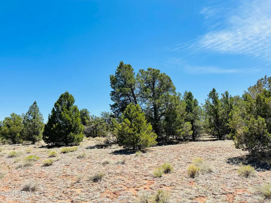 5390 N Windy Walk Way, Williams, AZ 86046 - #3