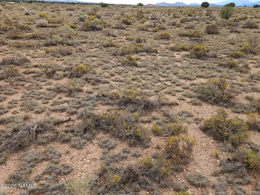 2937 S Dewey Drive, Williams, AZ 86046 - #2