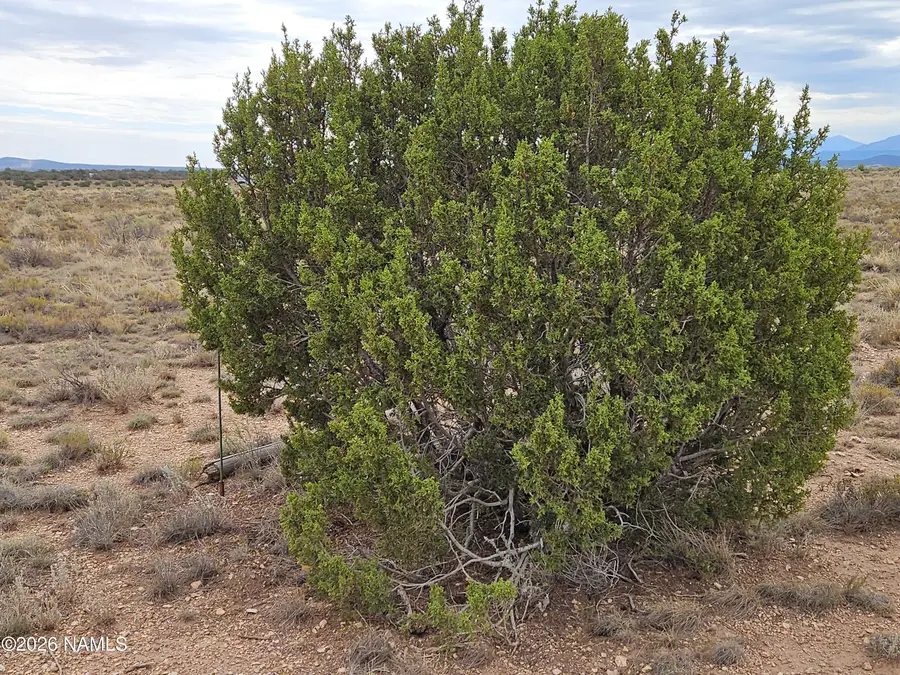 2909 S Dewey Drive, Williams, AZ 86046 - #2