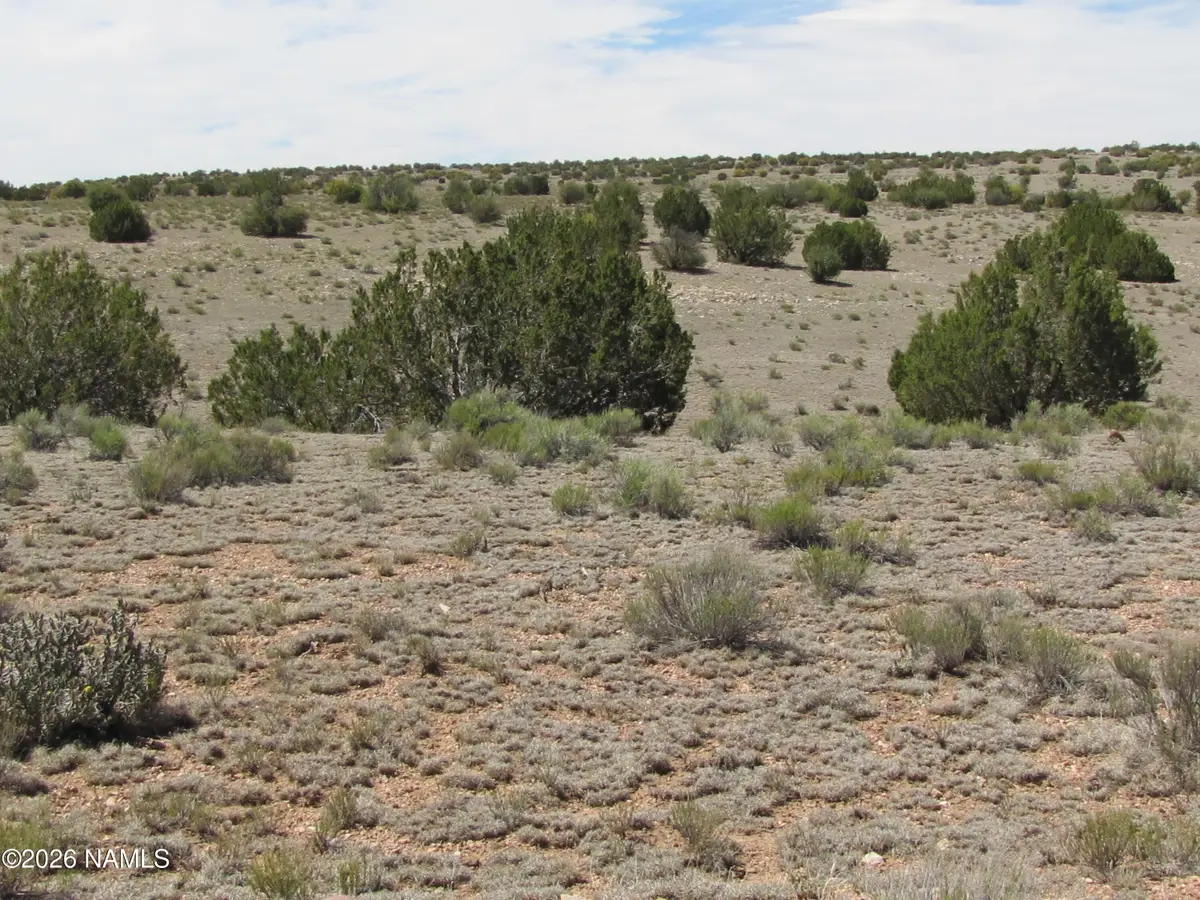 10197 W High Butte Drive, Williams, AZ 86046 - #1