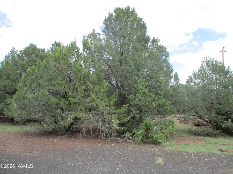 1237 E Alimos Way, Williams, AZ 86046 - #3