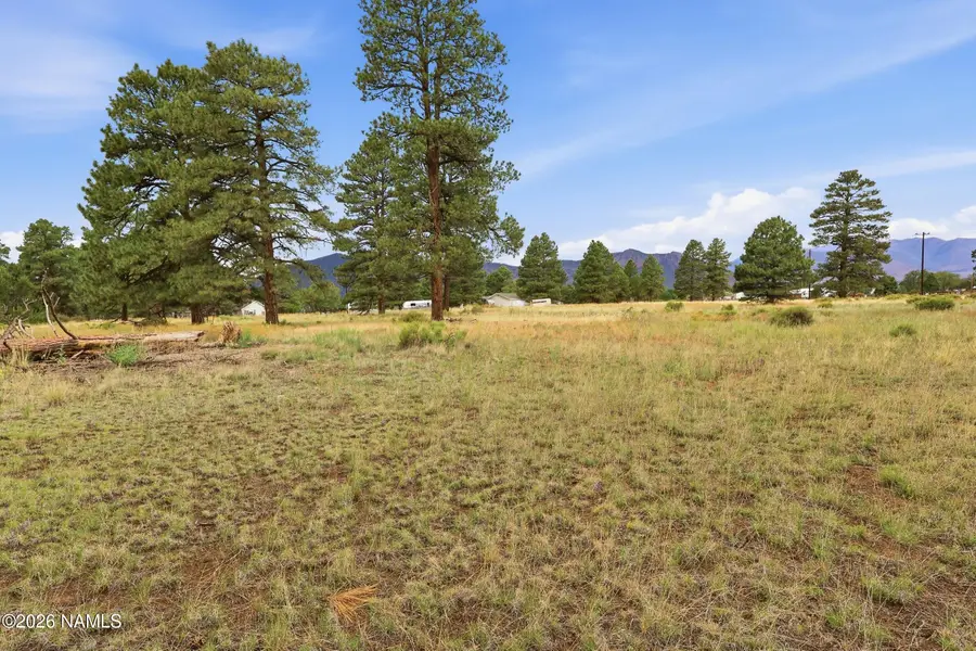 6314 E Burris Lane, Flagstaff, AZ 86004 - #2