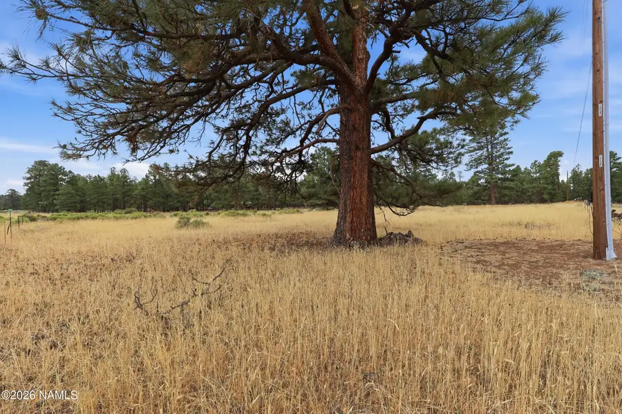 6314 E Burris Lane, Flagstaff, AZ 86004 - #3
