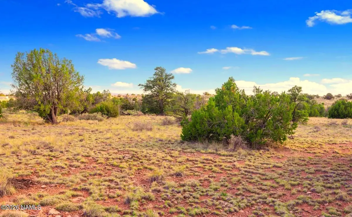 2340 S Hollyhock Lane, Williams, AZ 86046 - #1
