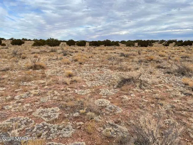 3153 E Judy Drive, Williams, AZ 86046 - #1
