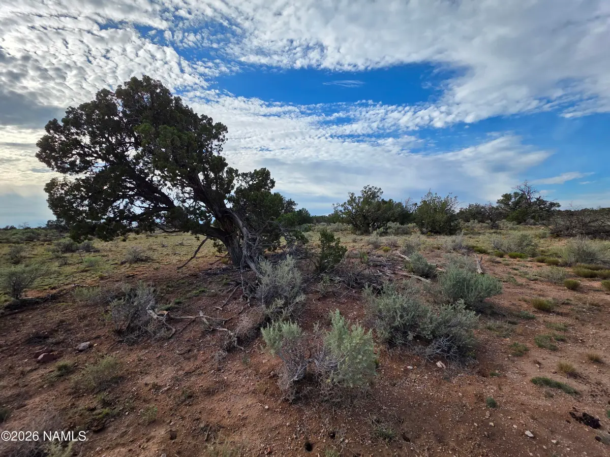 2097 Watchtower Pass, Williams, AZ 86046 - #1