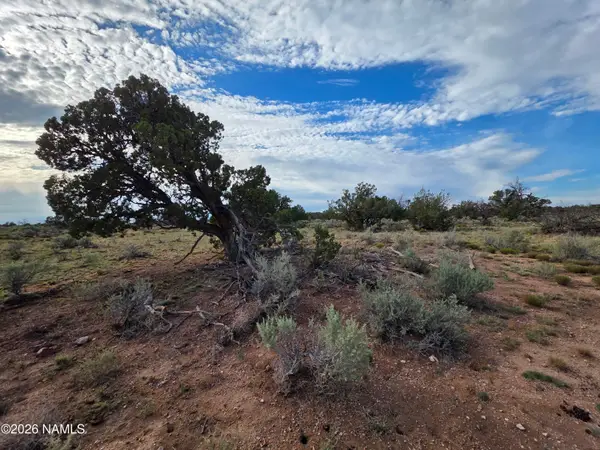 2097 Watchtower Pass, Williams, AZ 86046