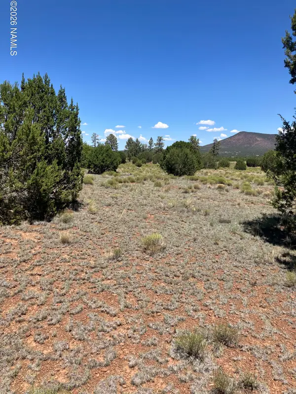2155 E Spring Valley Road, Williams, AZ 86046
