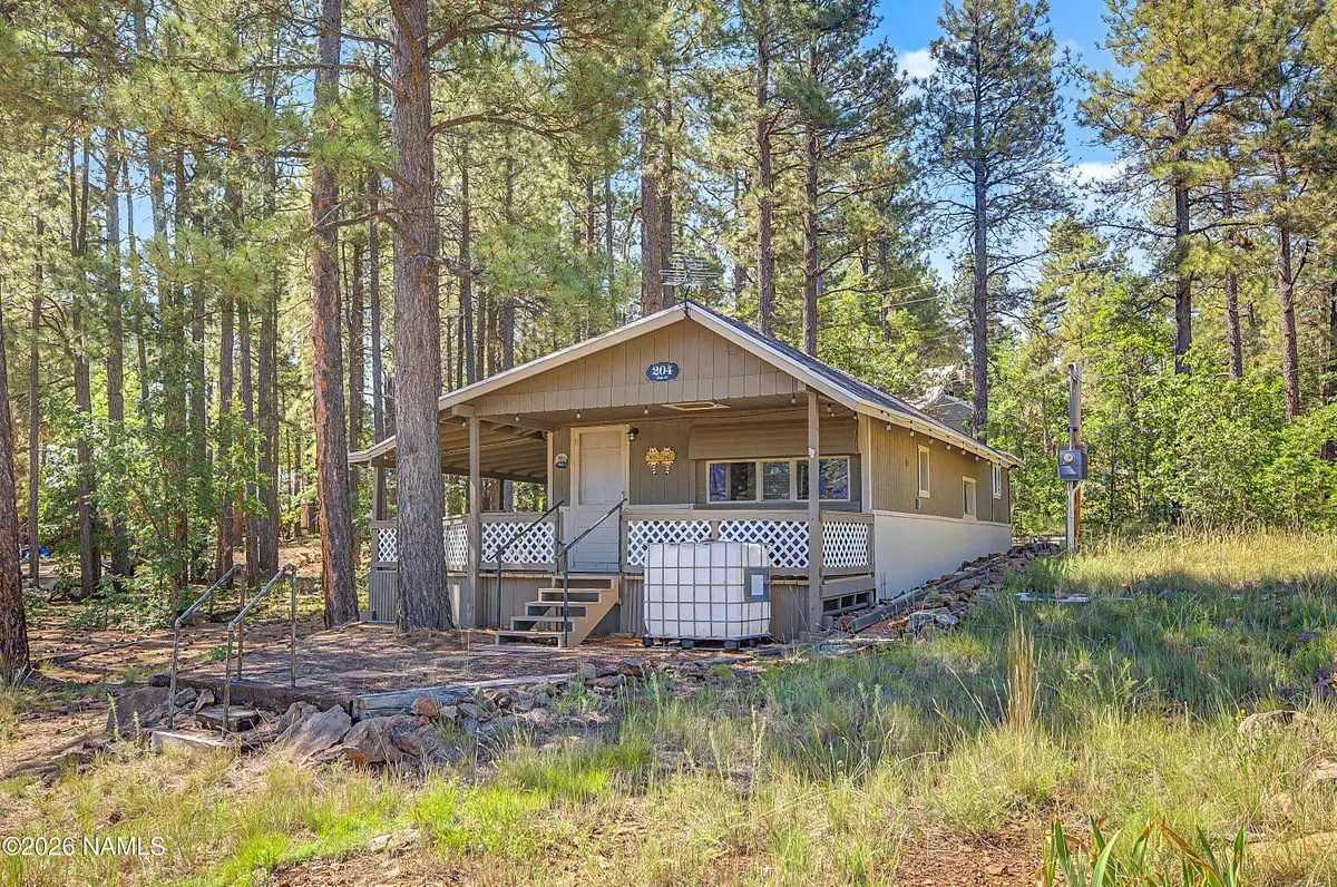204 Oak Drive, Mormon Lake, AZ 86038 - #1