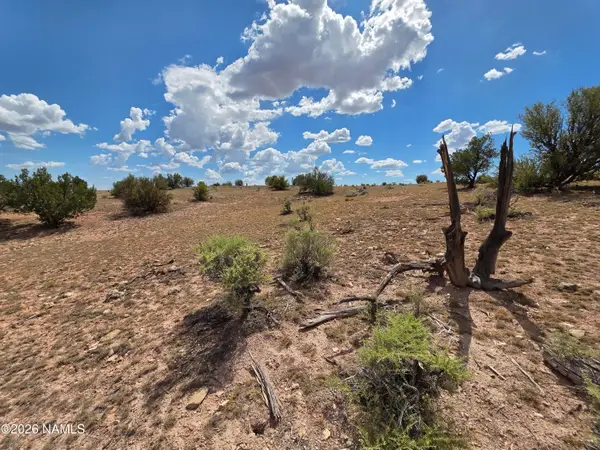 5864 W Blue Star Trl Lot C, Williams, AZ 86046