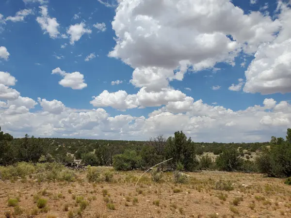 5463 S Estrella Road, Williams, AZ 86046