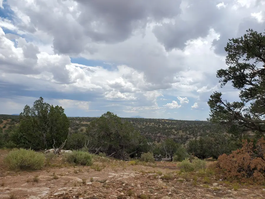 5463 S Estrella Road, Williams, AZ 86046 - #2