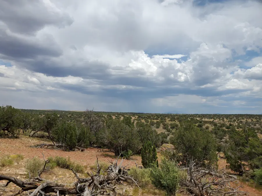 5463 S Estrella Road, Williams, AZ 86046 - #3