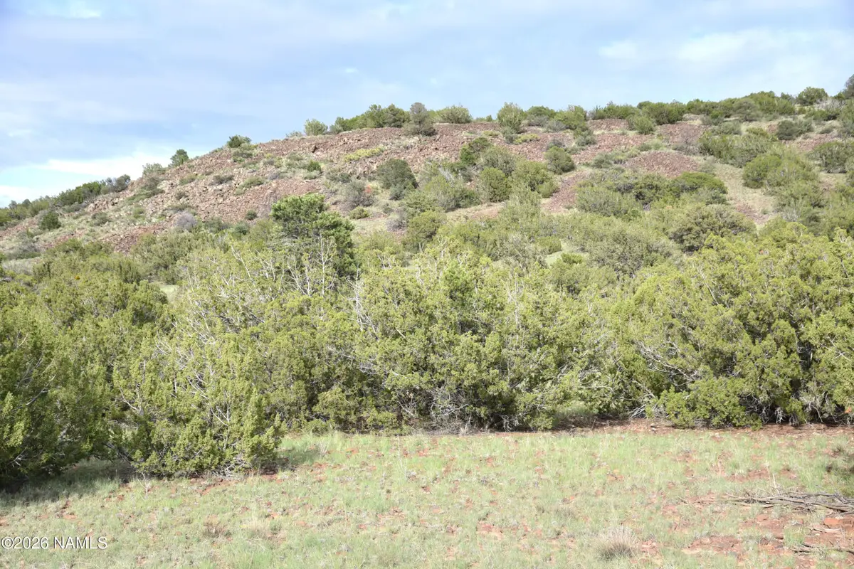 11310 S Grey Hawk Way, Williams, AZ 86046 - #1