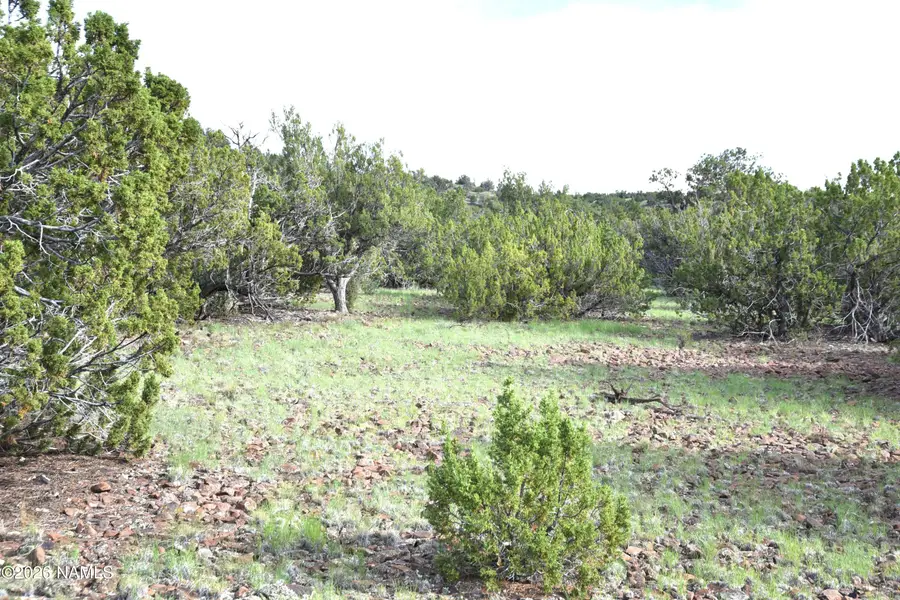11310 S Grey Hawk Way, Williams, AZ 86046 - #3