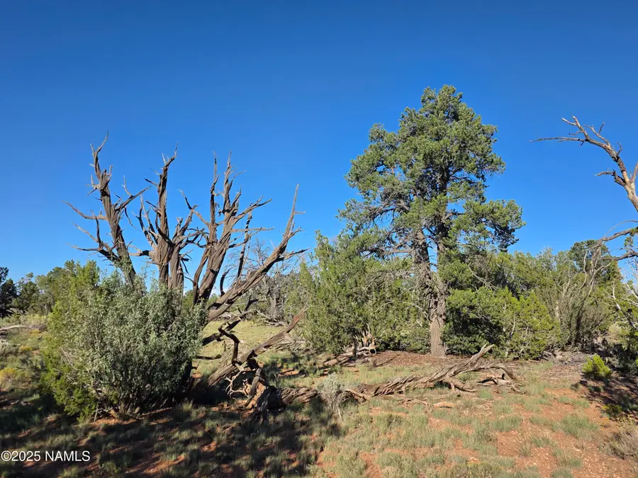 10072 Red Butte Rd Lot B, Williams, AZ 86046 - #2