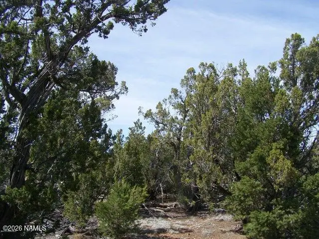 5377 N Downpour Row, Williams, AZ 86046 - #1