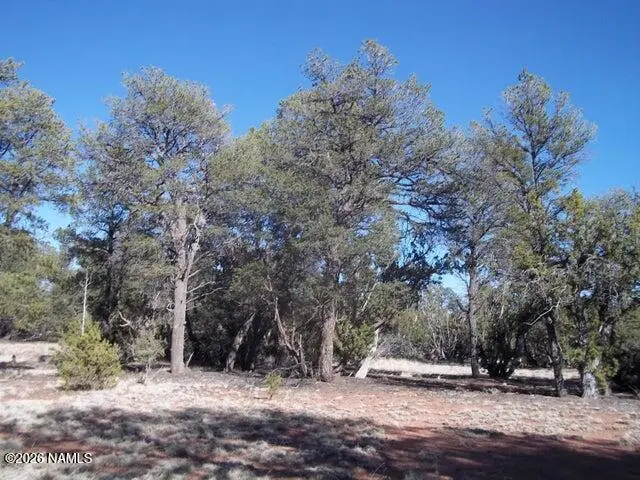 5377 N Downpour Row, Williams, AZ 86046 - #3
