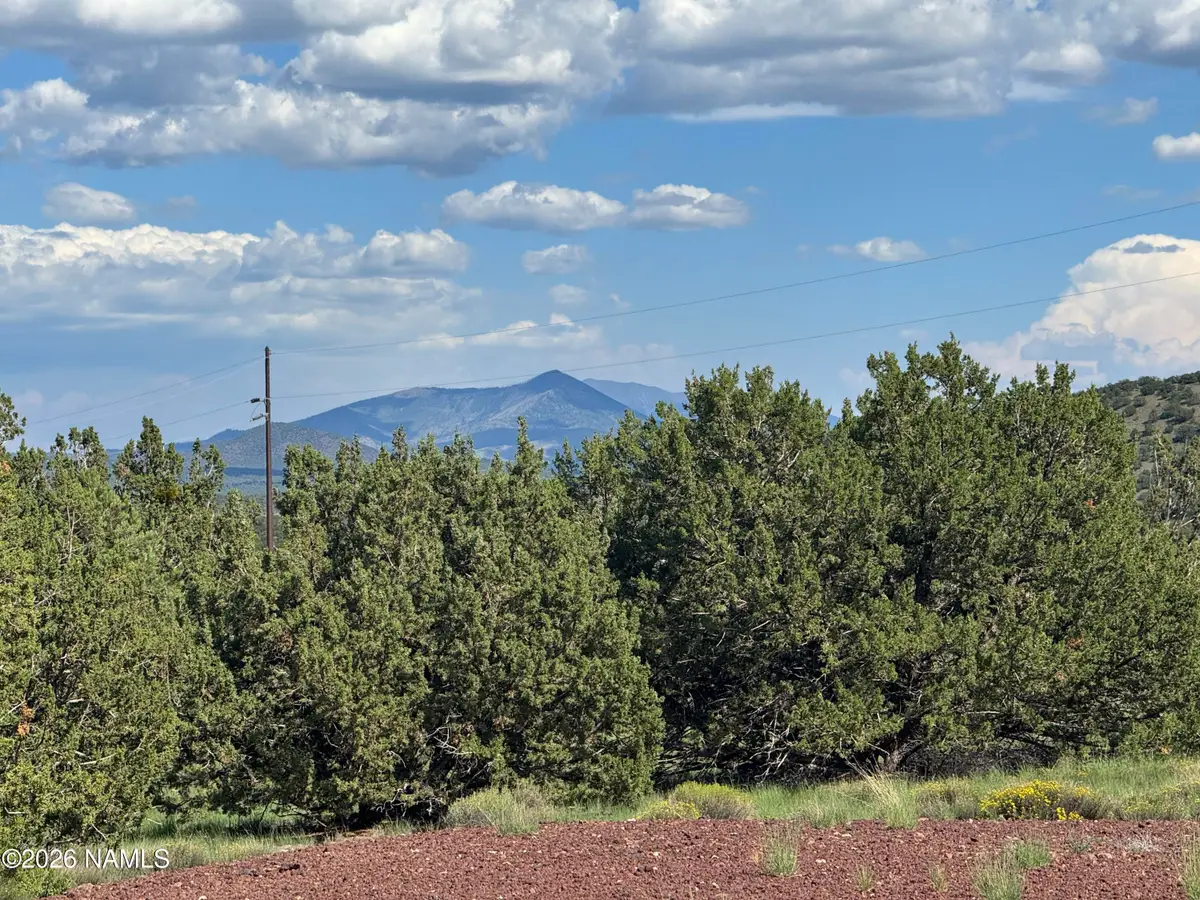 14556 Howard Mesa Loop, Williams, AZ 86046 - #1