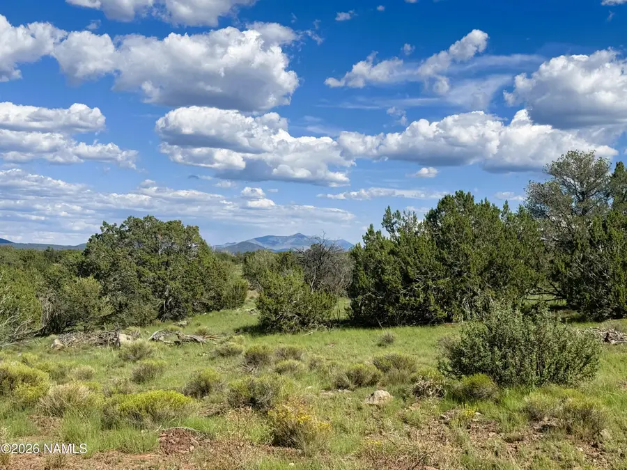 10209 S Big Bear Road, Williams, AZ 86046 - #2