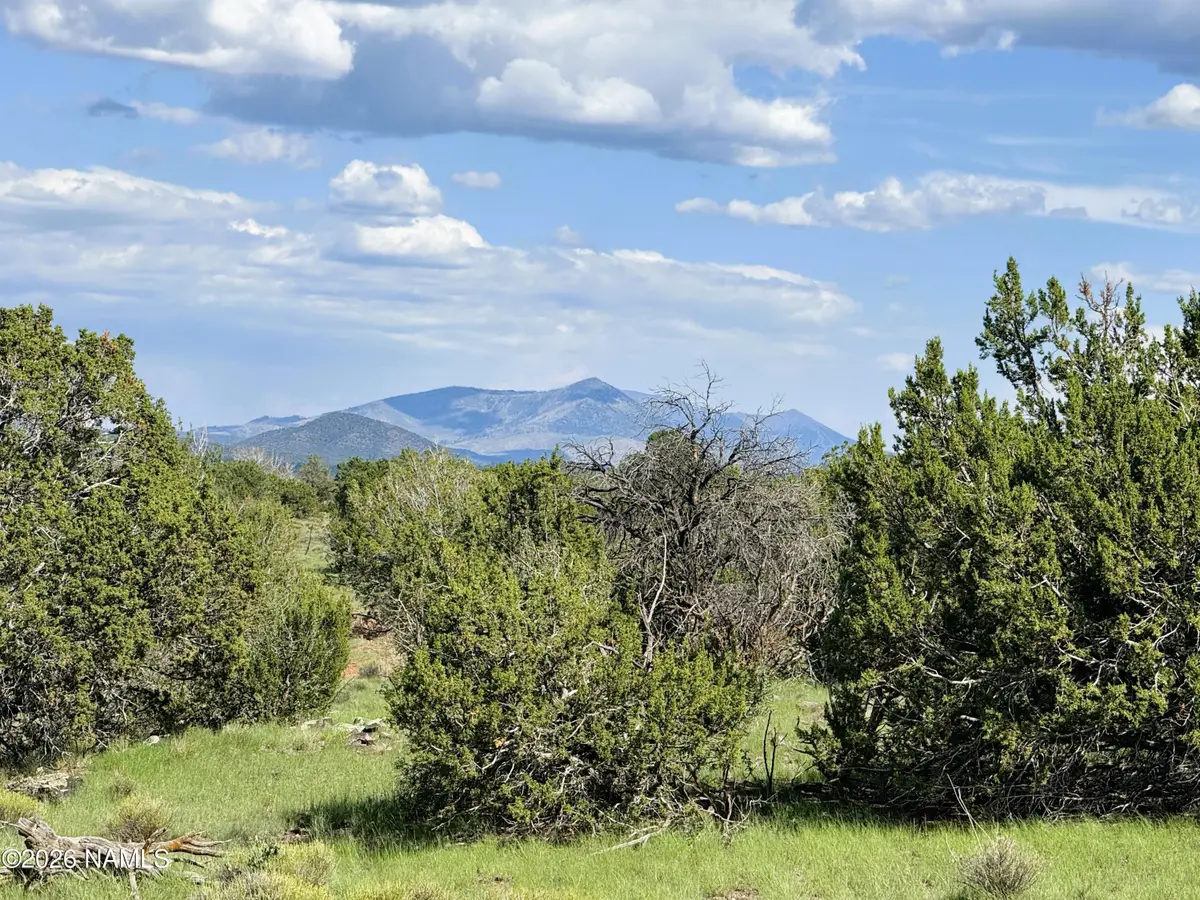 10209 S Big Bear/14556 Howard Mesa Road, Williams, AZ 86046 - #1
