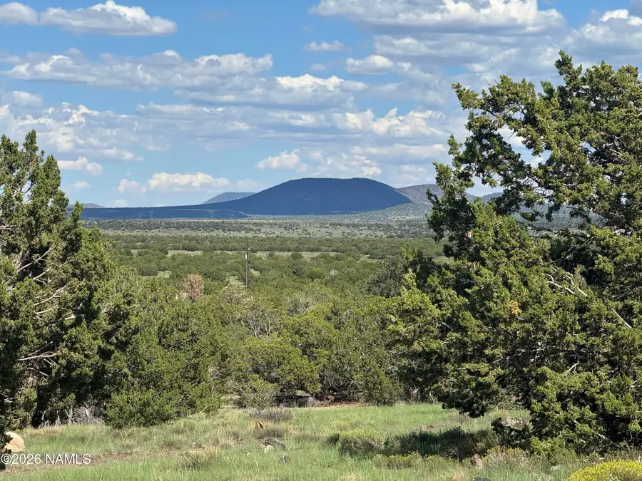 10209 S Big Bear/14556 Howard Mesa Road, Williams, AZ 86046 - #3