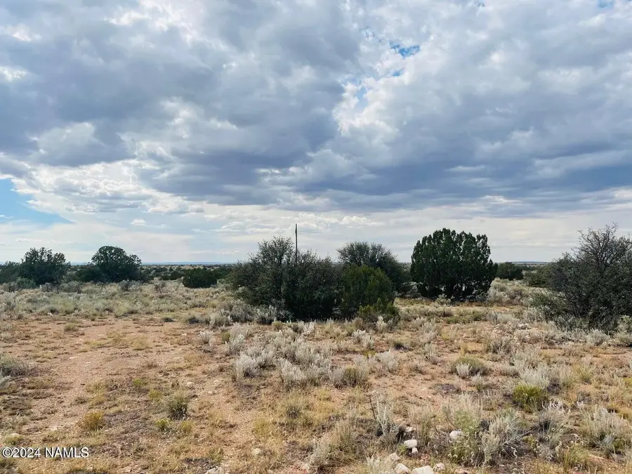 4115 N State Route Road, Williams, AZ 86046 - #2