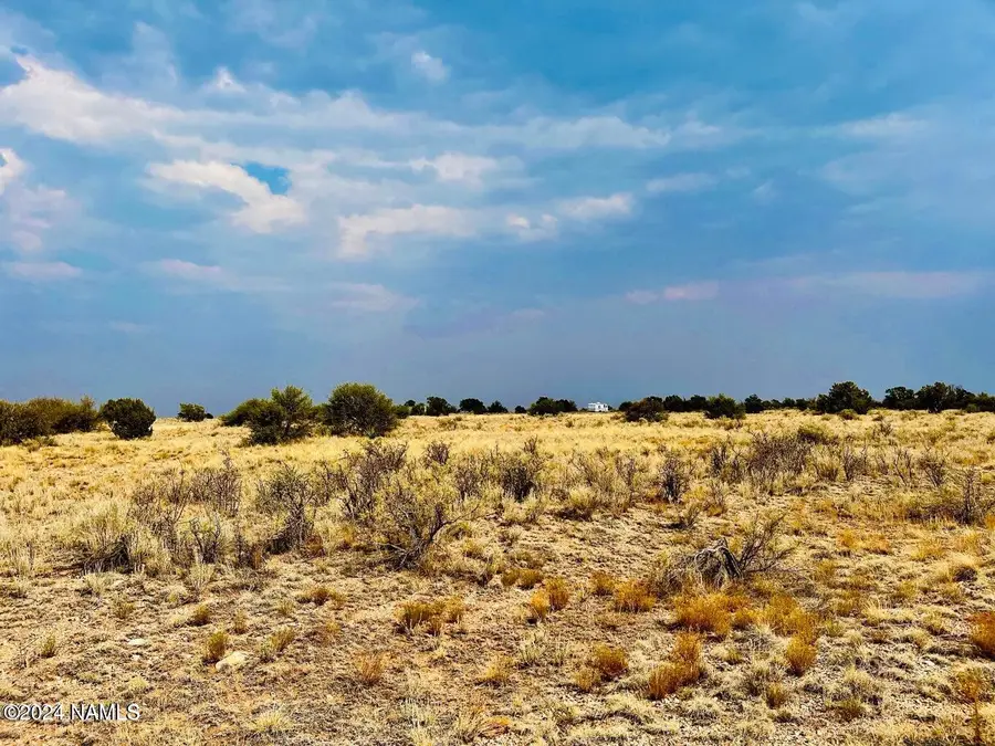 4115 N State Route Road, Williams, AZ 86046 - #3