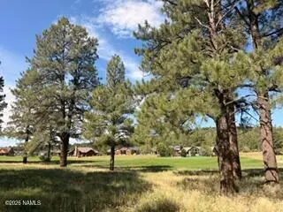 2967 W Highland Meadows Drive, Williams, AZ 86046 - #1
