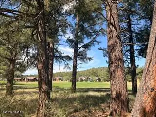 2967 W Highland Meadows Drive, Williams, AZ 86046 - #3