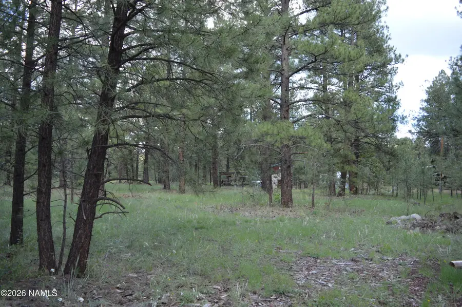 24a N Philip Drive, Parks, AZ 86018 - #3