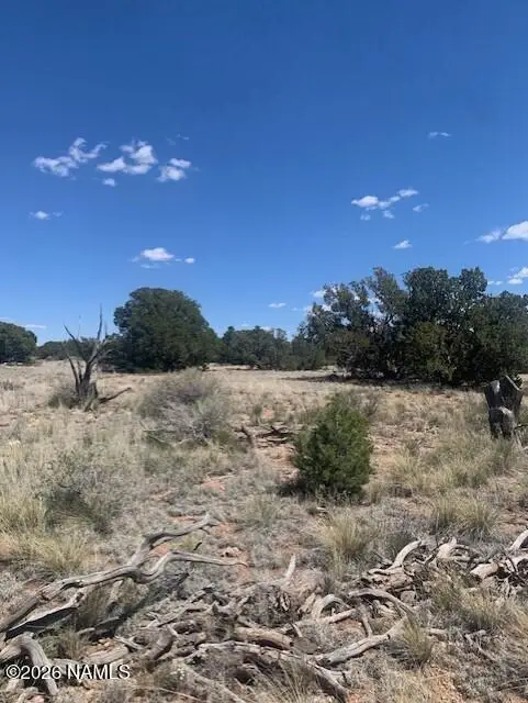 135 S Wyandotte Road, Williams, AZ 86046