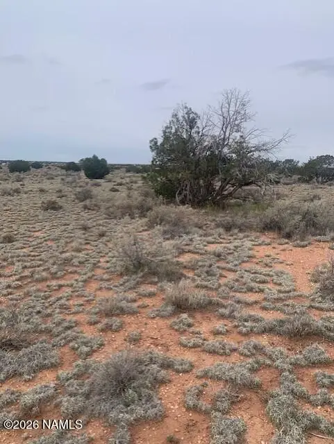 3270 Laurence Drive, Williams, AZ 86046
