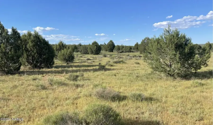 886 SW Ranch Road, Williams, AZ 86046 - #2