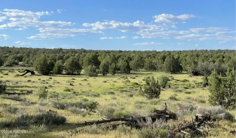 886 SW Ranch Road, Williams, AZ 86046 - #3