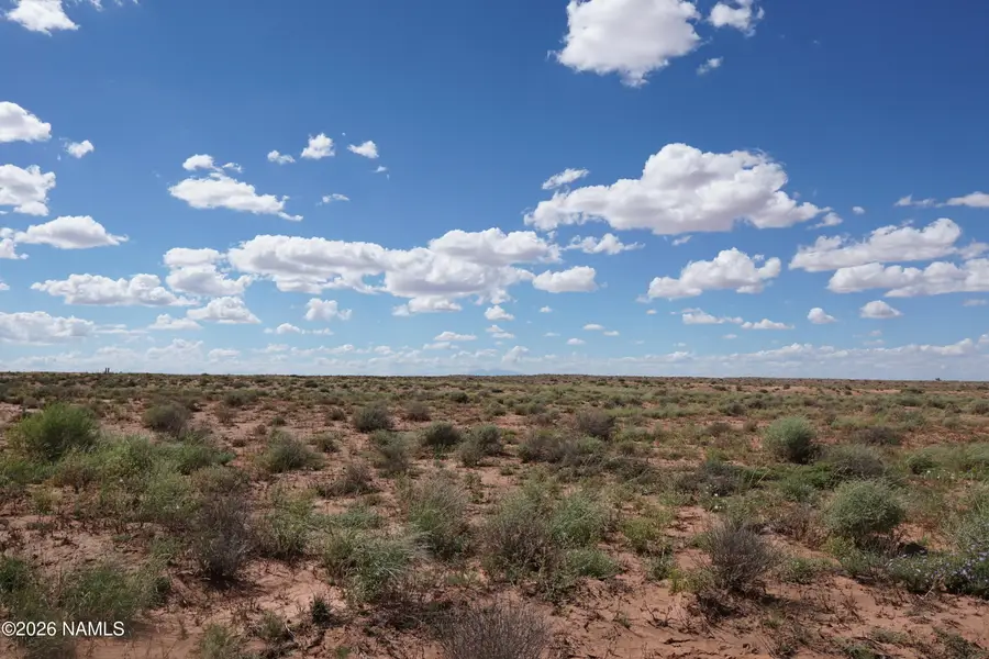 8937 W Willauer Lane, Winslow, AZ 86047 - #2