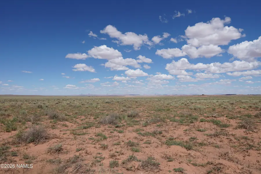 8937 W Willauer Lane, Winslow, AZ 86047 - #3