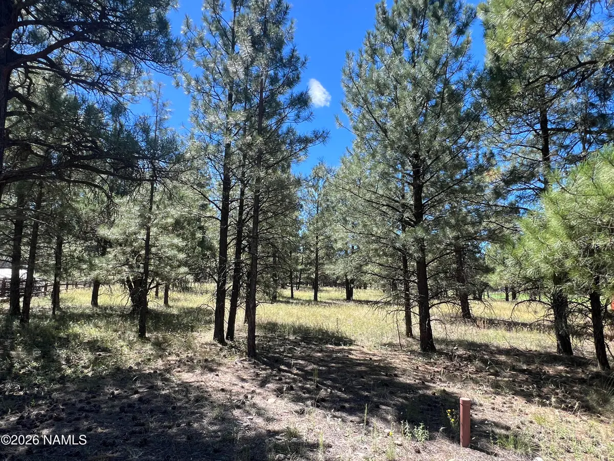 2935 W St Andrews, Williams, AZ 86046 - #1